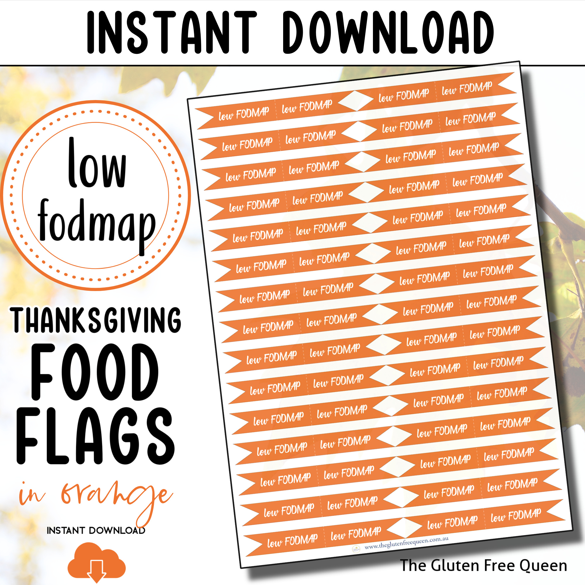FOOD-FLAGS-2024-low-fodmap-THANKSGIVING-orange-MAIN-IMAGE-v3