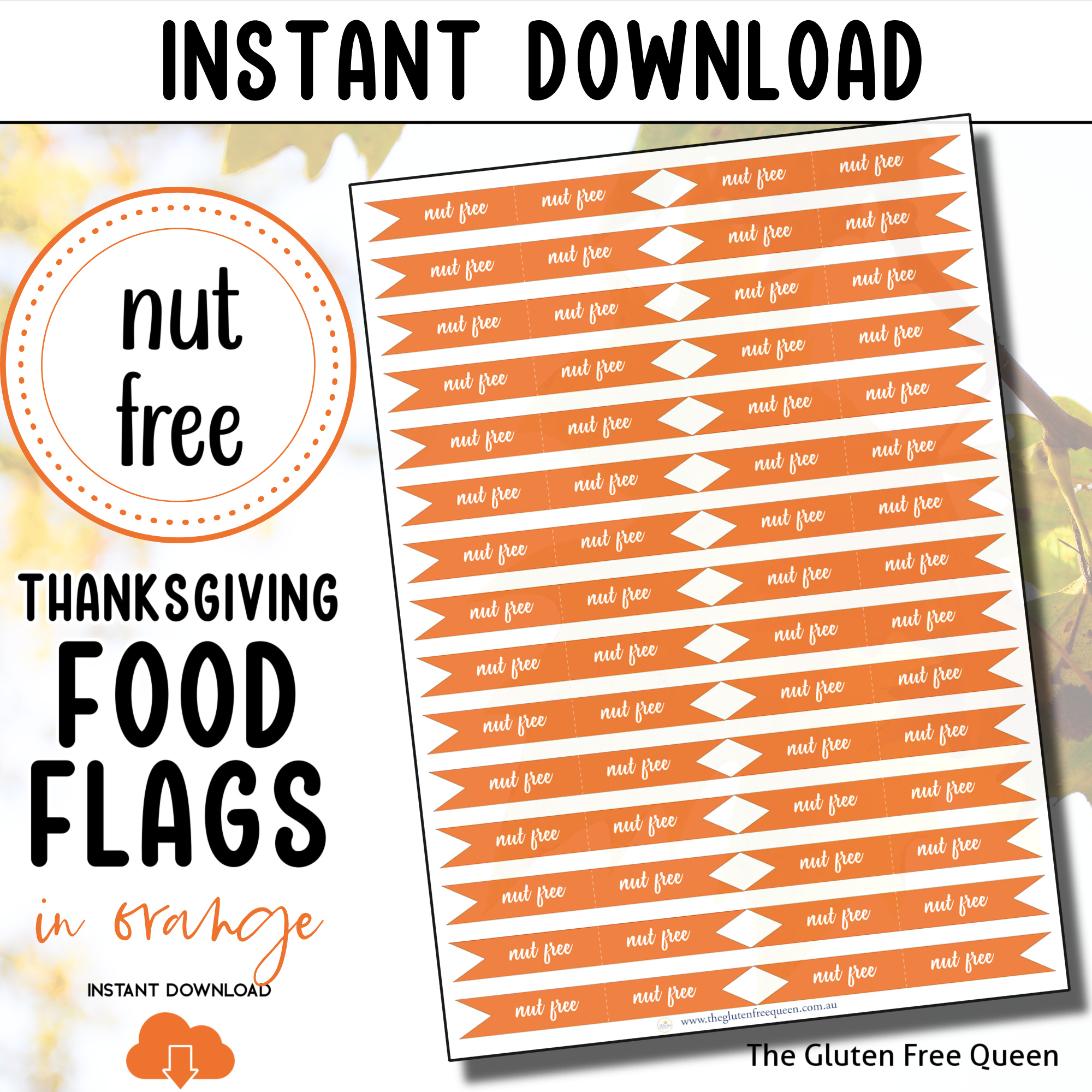 FOOD-FLAGS-2024-nut-free-THANKSGIVING-orange-MAIN-IMAGE-v3