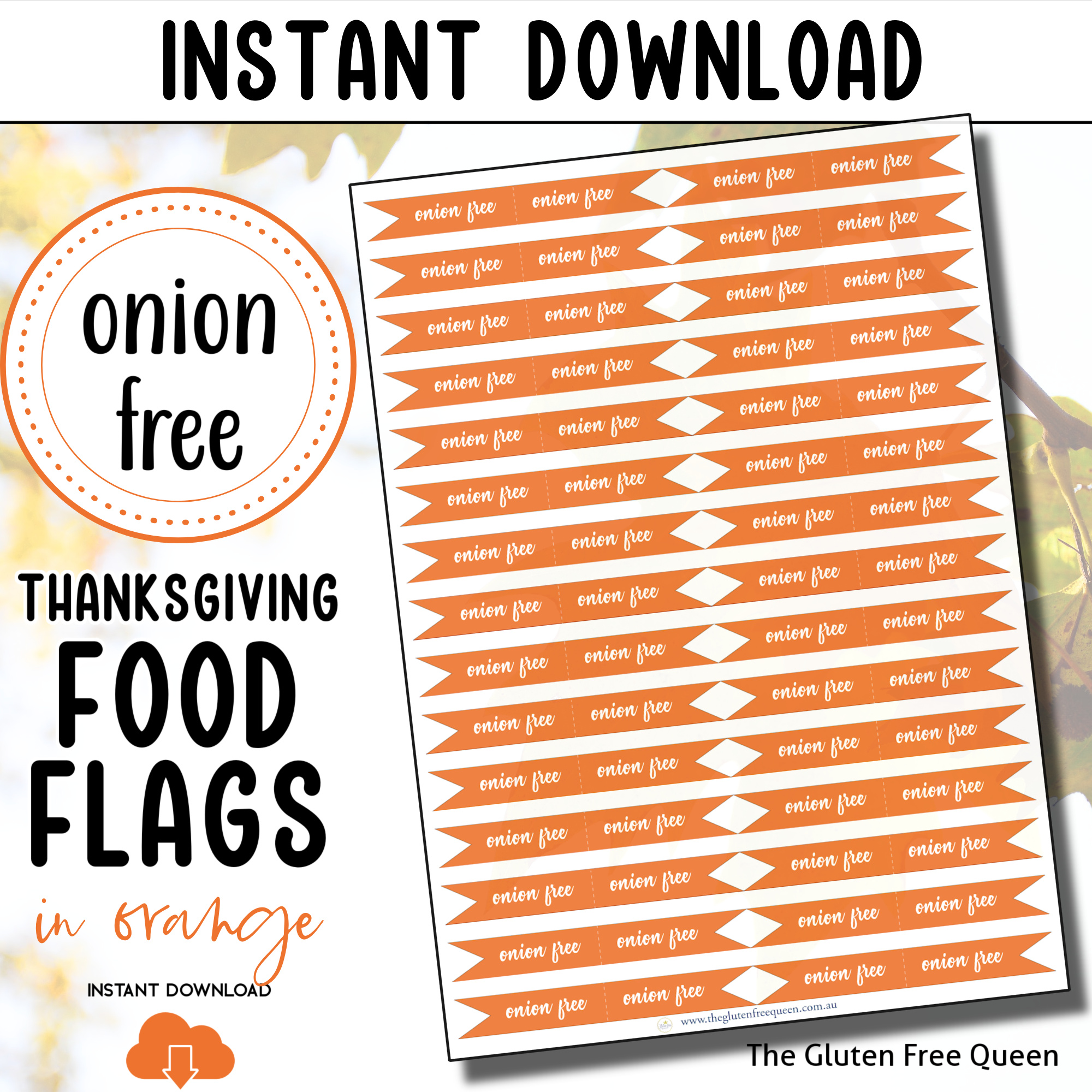 FOOD-FLAGS-2024-onion-free-THANKSGIVING-orange-MAIN-IMAGE-v3
